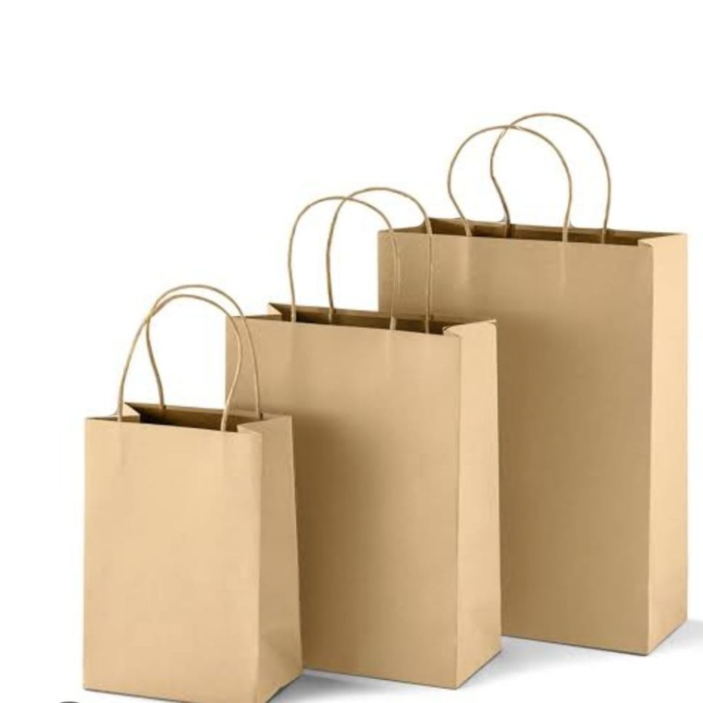 Plain Brown Kraft Bag