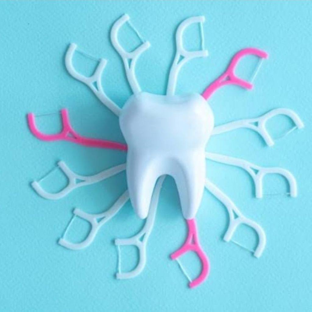 30pc Dental Floss Toothpick