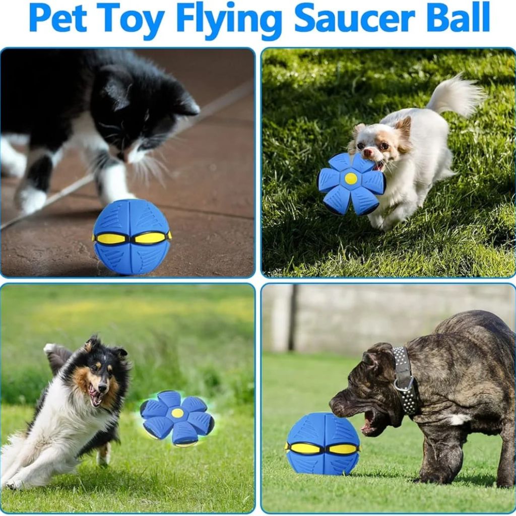 Flying Saucer Ball