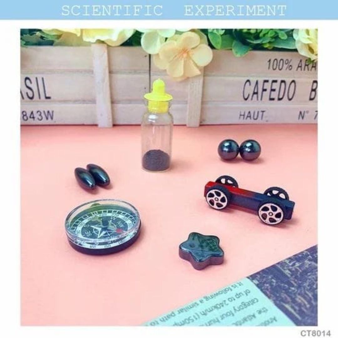 Magnetic Science Kit - Small