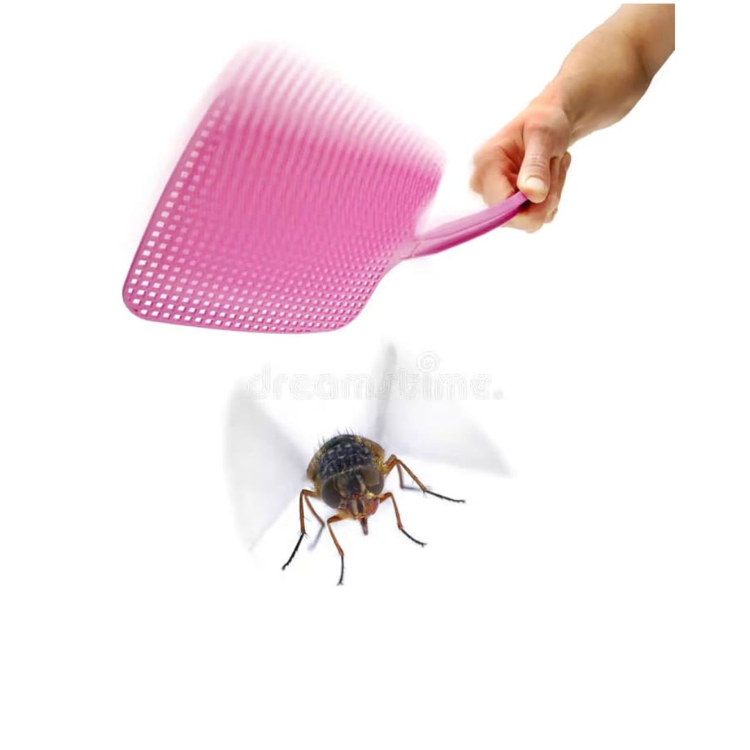 Fly Swatter