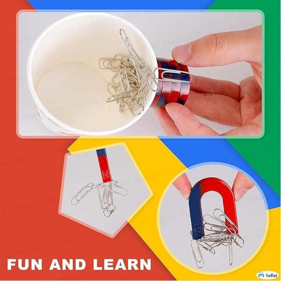 Magnetic Science Kit- Large