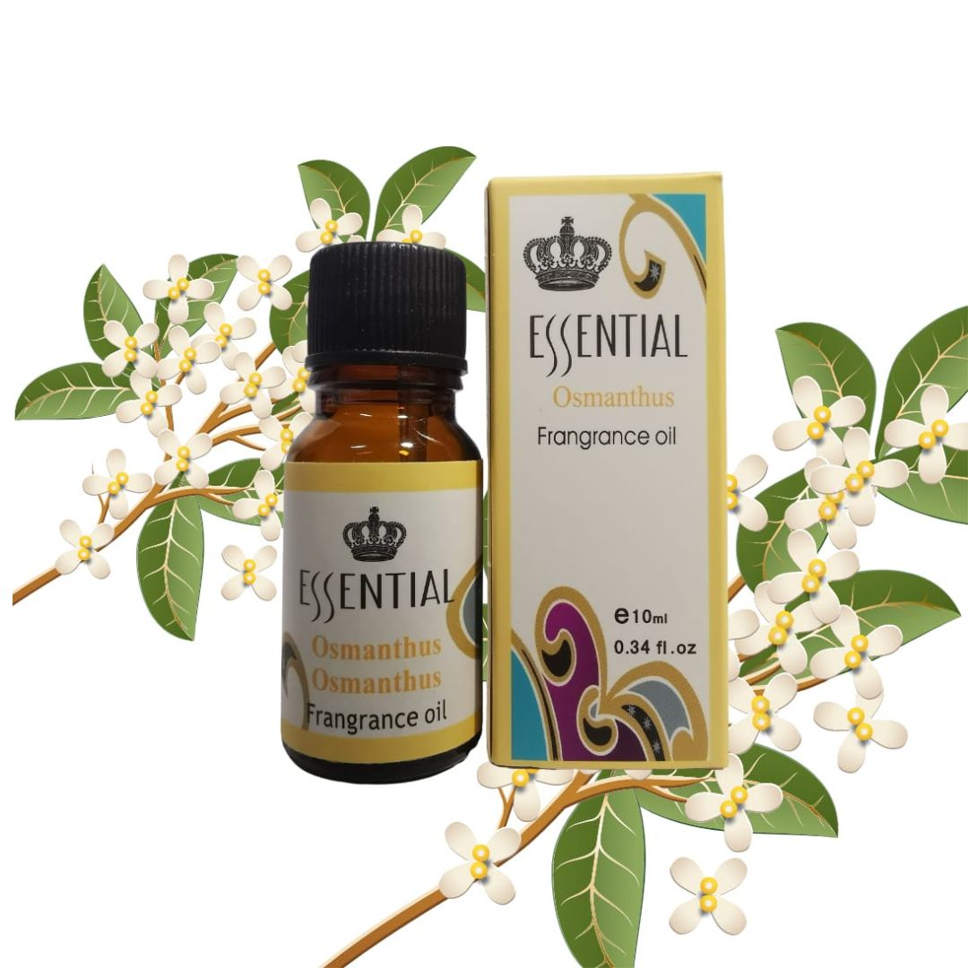 Essential Frangrance Oils 10ml