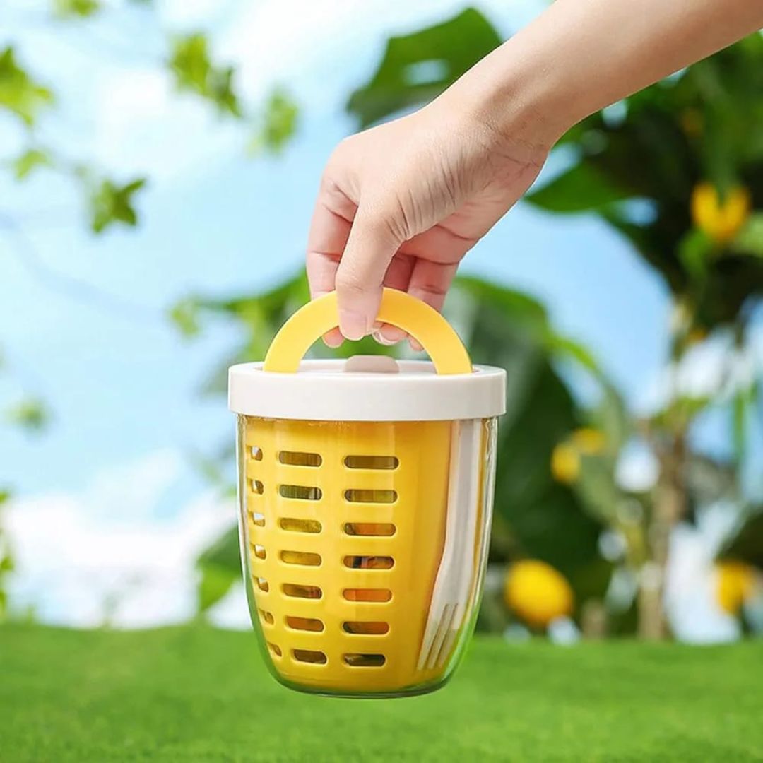 Reusable Fruit Cup