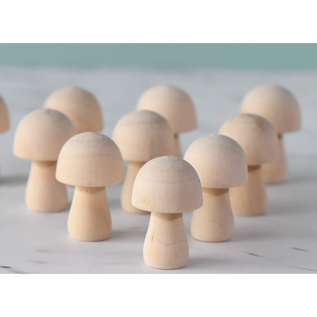 Wooden 6pc DIY Mushroom