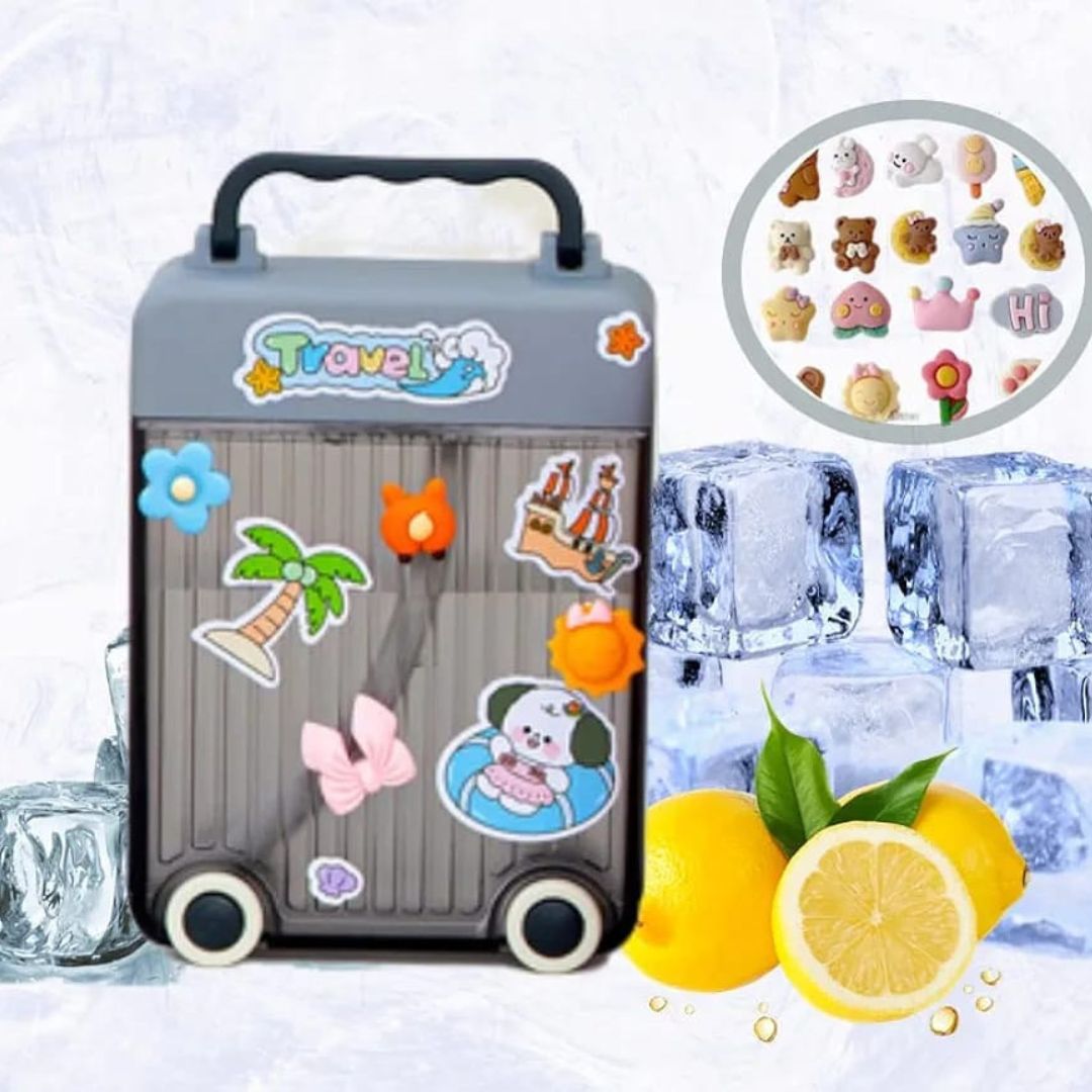 Suitcase Water Bottle 450ml