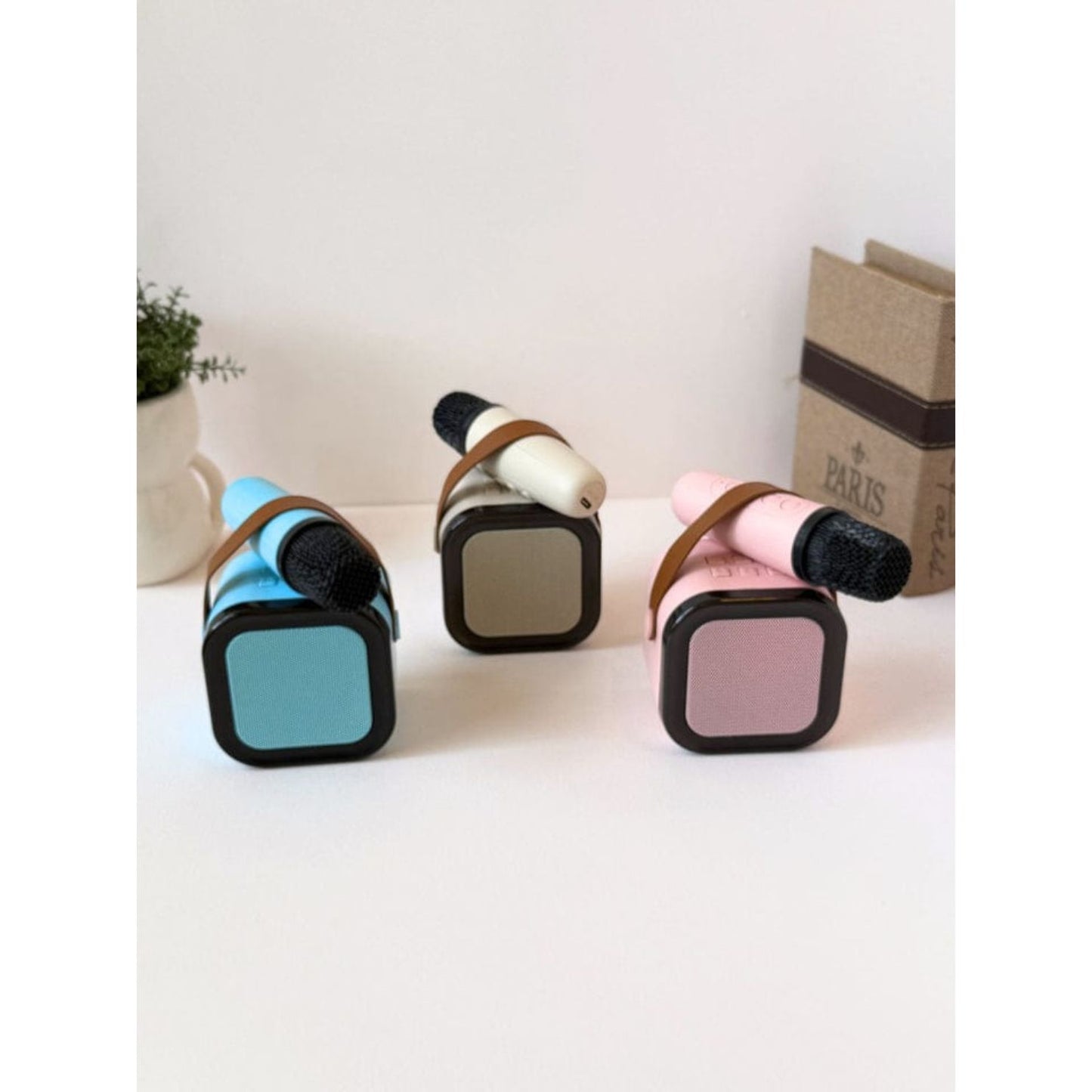 Mini Wireless 2pc Microphone And Speaker Set