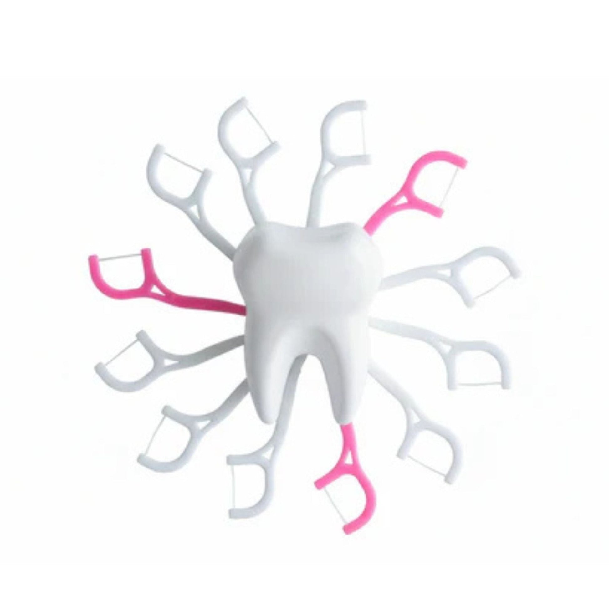 30pc Dental Floss Toothpick 