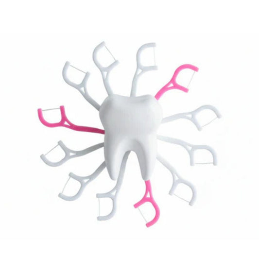 30pc Dental Floss Toothpick 