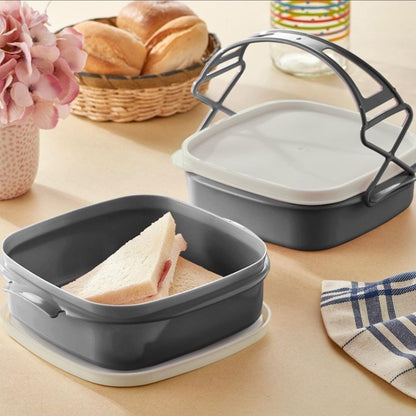Qlux Tetra 2 Layer  Lunch Box