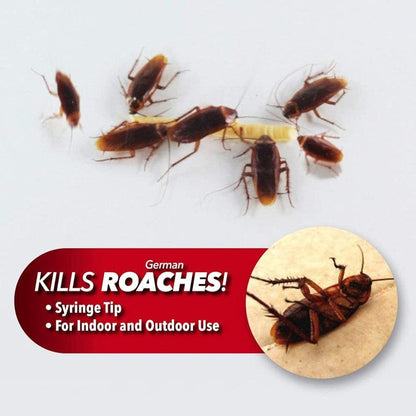 Roach Expert