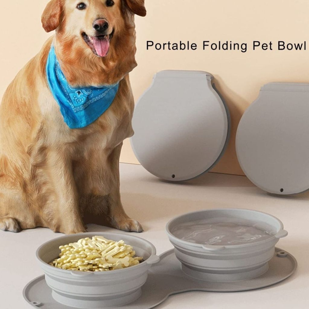 Portable Foldable Pet Bowl