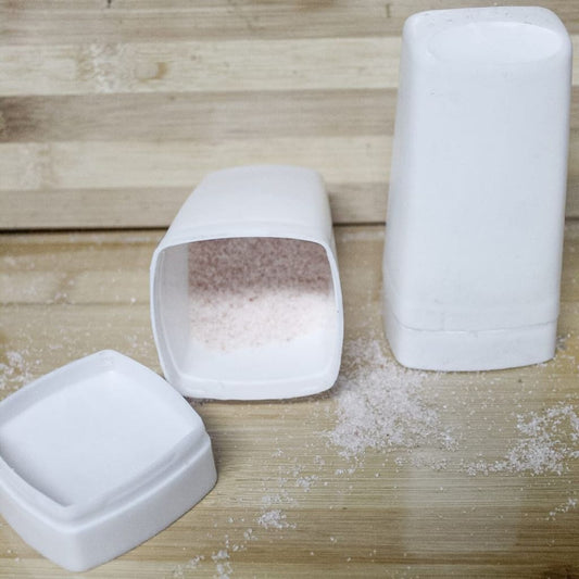 2pc Plastic Salt and Pepper Shaker