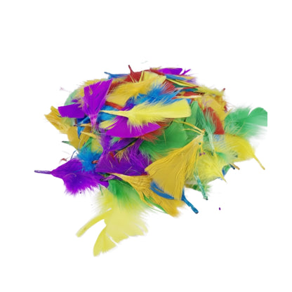 DIY Craft Feathers