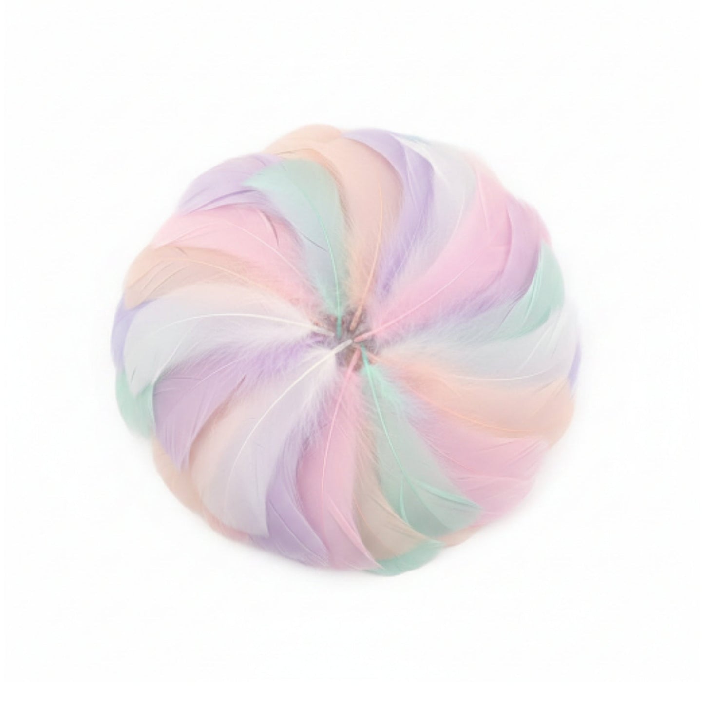 DIY Craft Feathers