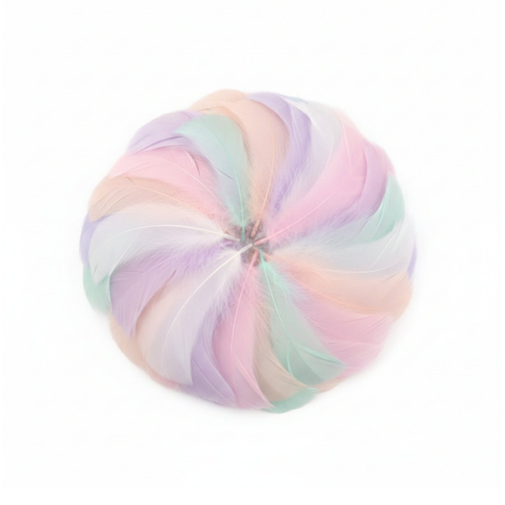 DIY Craft Feathers