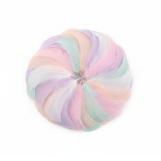 DIY Craft Feathers