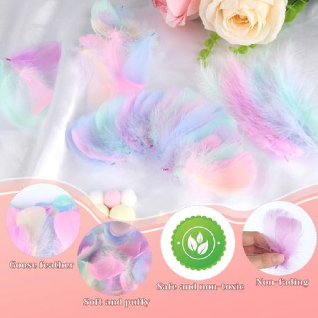 DIY Craft Feathers