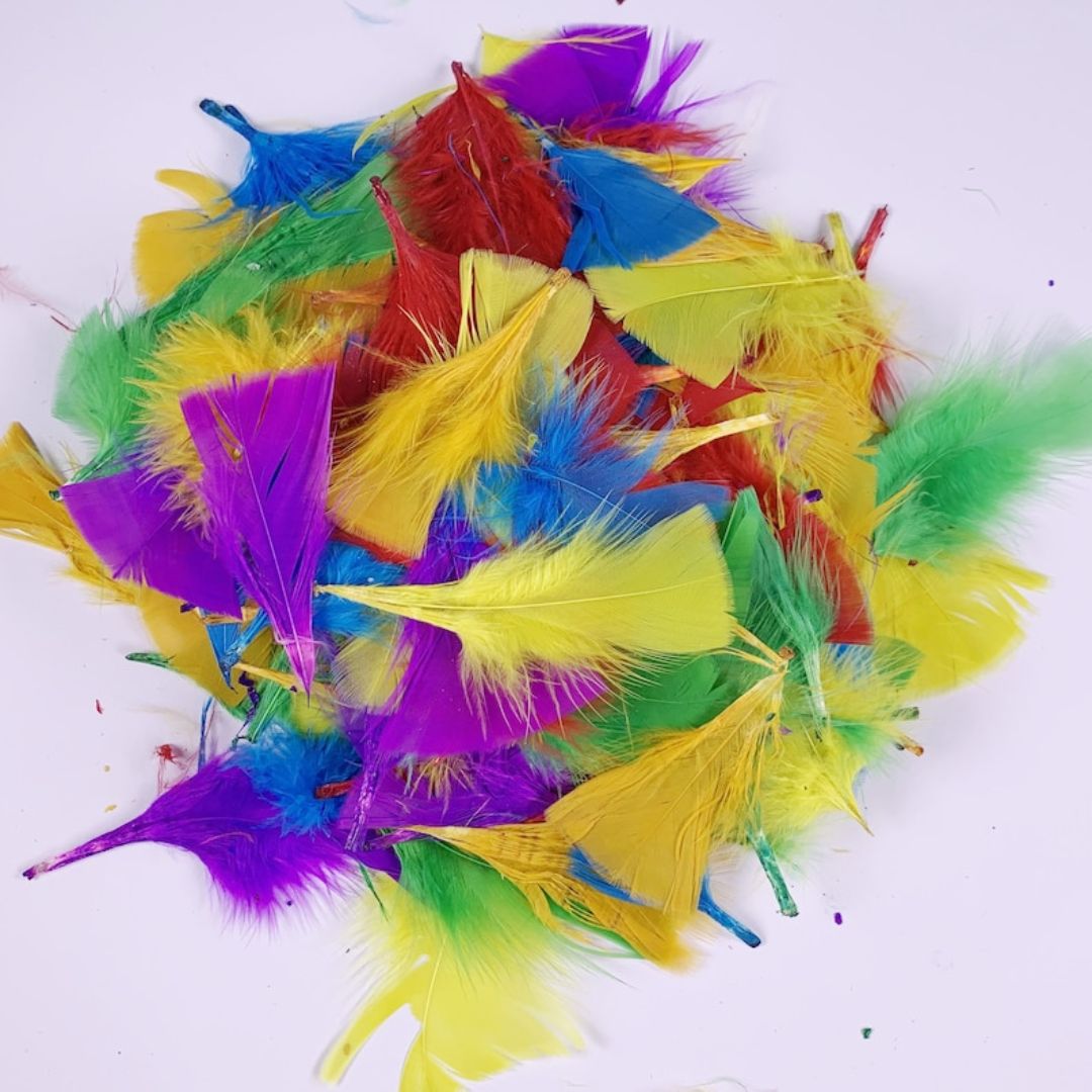 DIY Craft Feathers