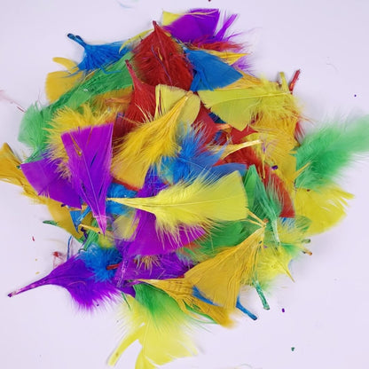 DIY Craft Feathers