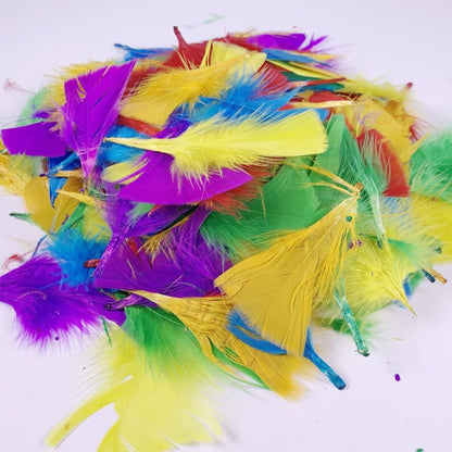 DIY Craft Feathers