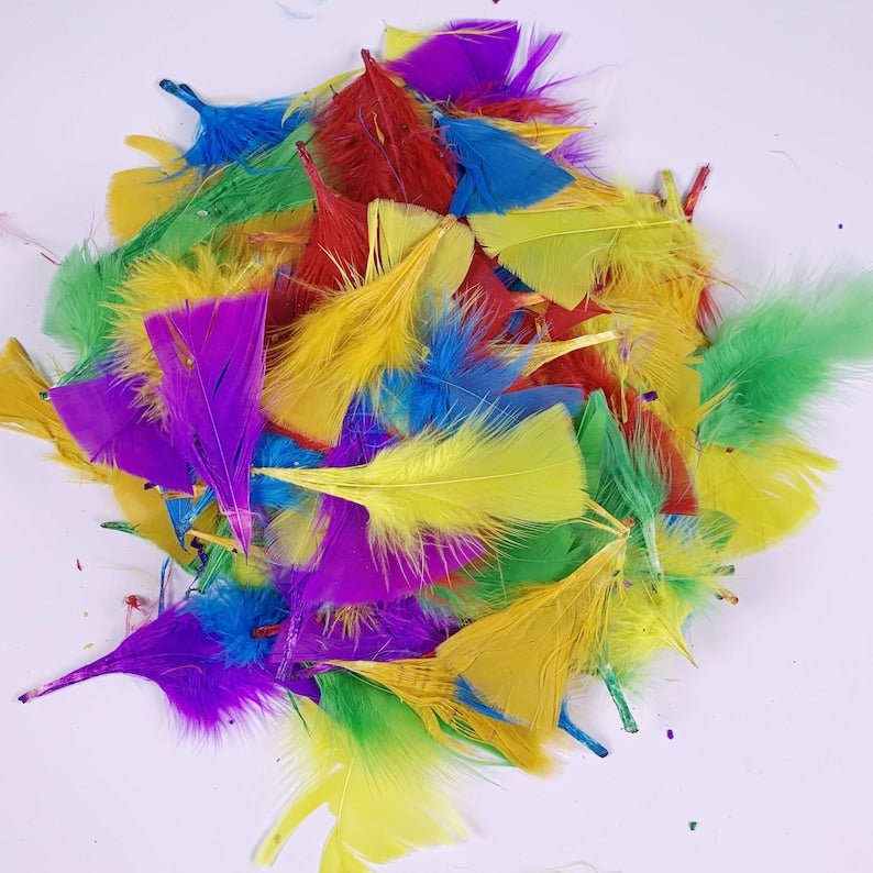 DIY Craft Feathers