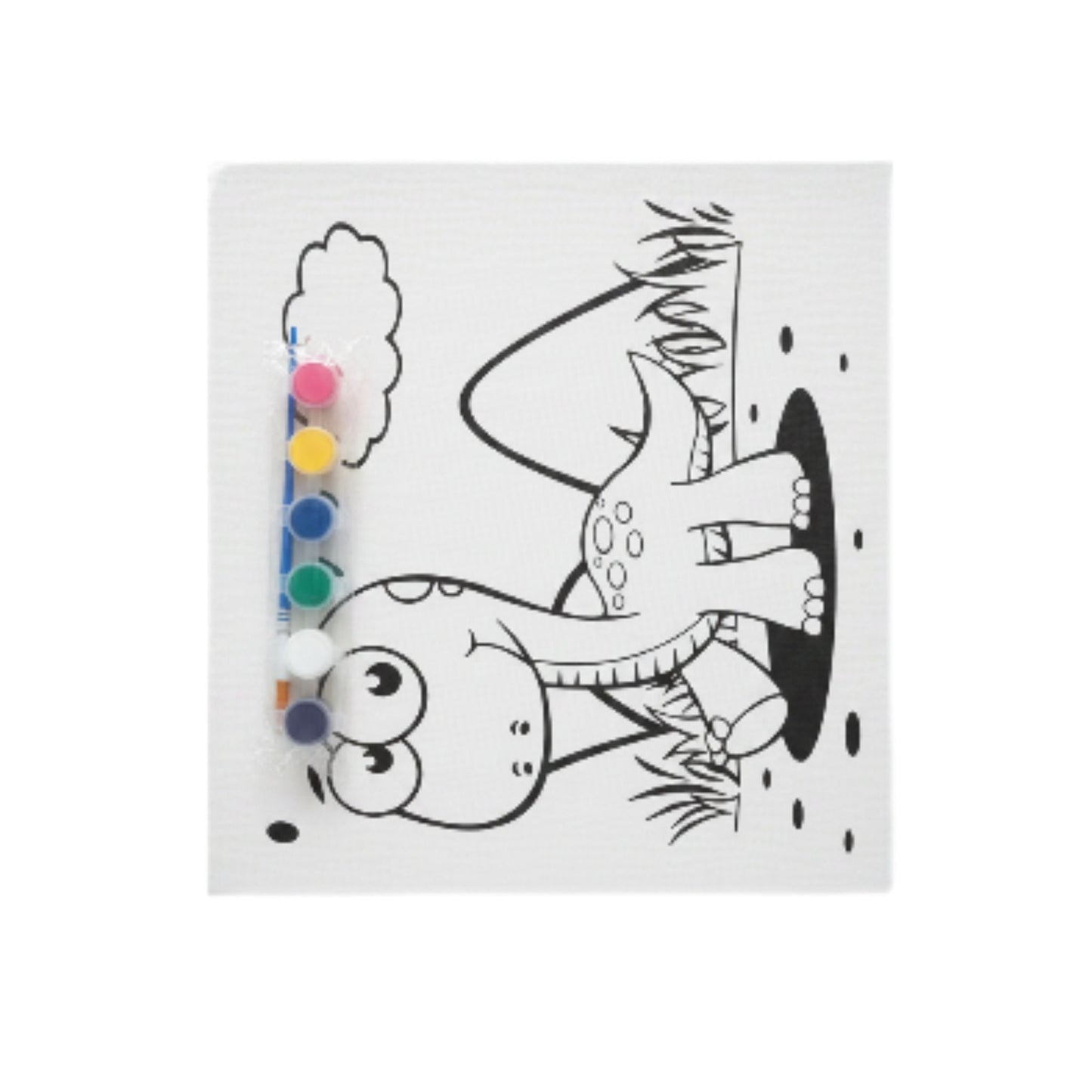 DIY Printed Canvas And Paint Set Large 30x40cm
