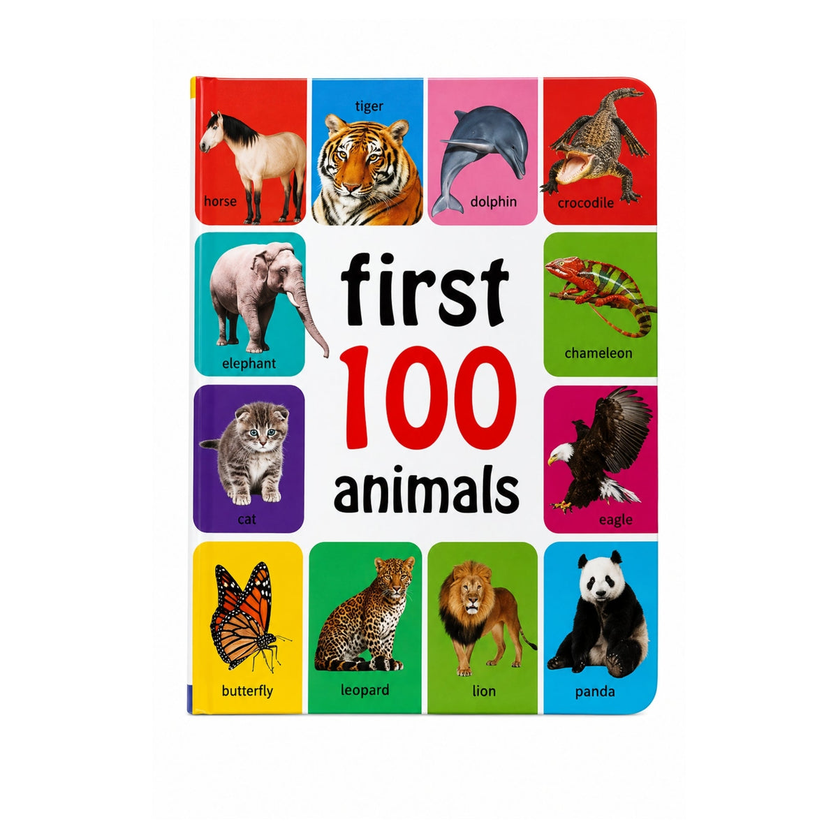 First 100 Kids Book – Early Learning Educational Activity Book with Colourful Pictures
