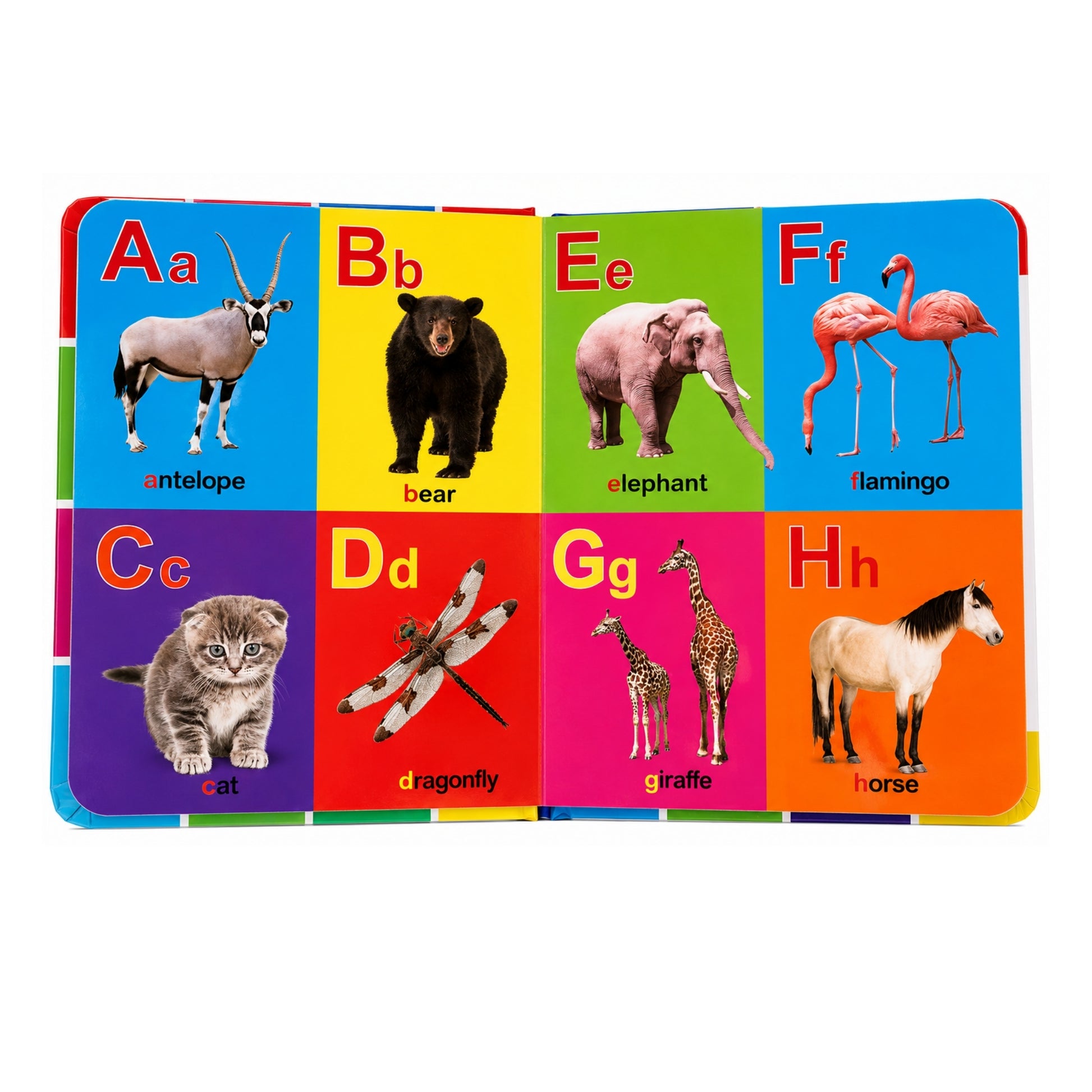 First 100 Kids Book – Early Learning Educational Activity Book with Colourful Pictures On White Background