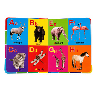 First 100 Kids Book – Early Learning Educational Activity Book with Colourful Pictures On White Background