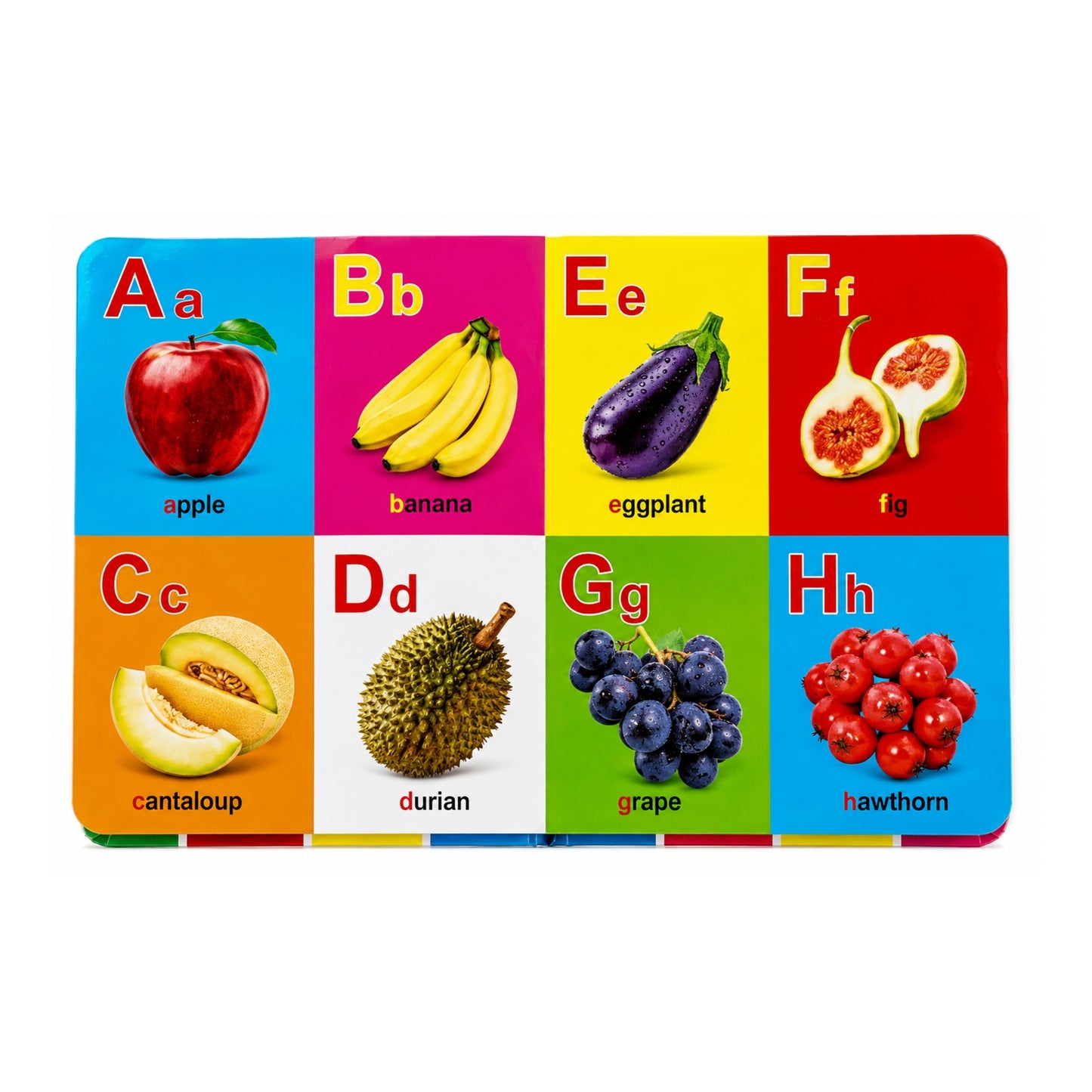 First 100 Kids Book – Early Learning Educational Activity Book with Colourful Pictures On White Background