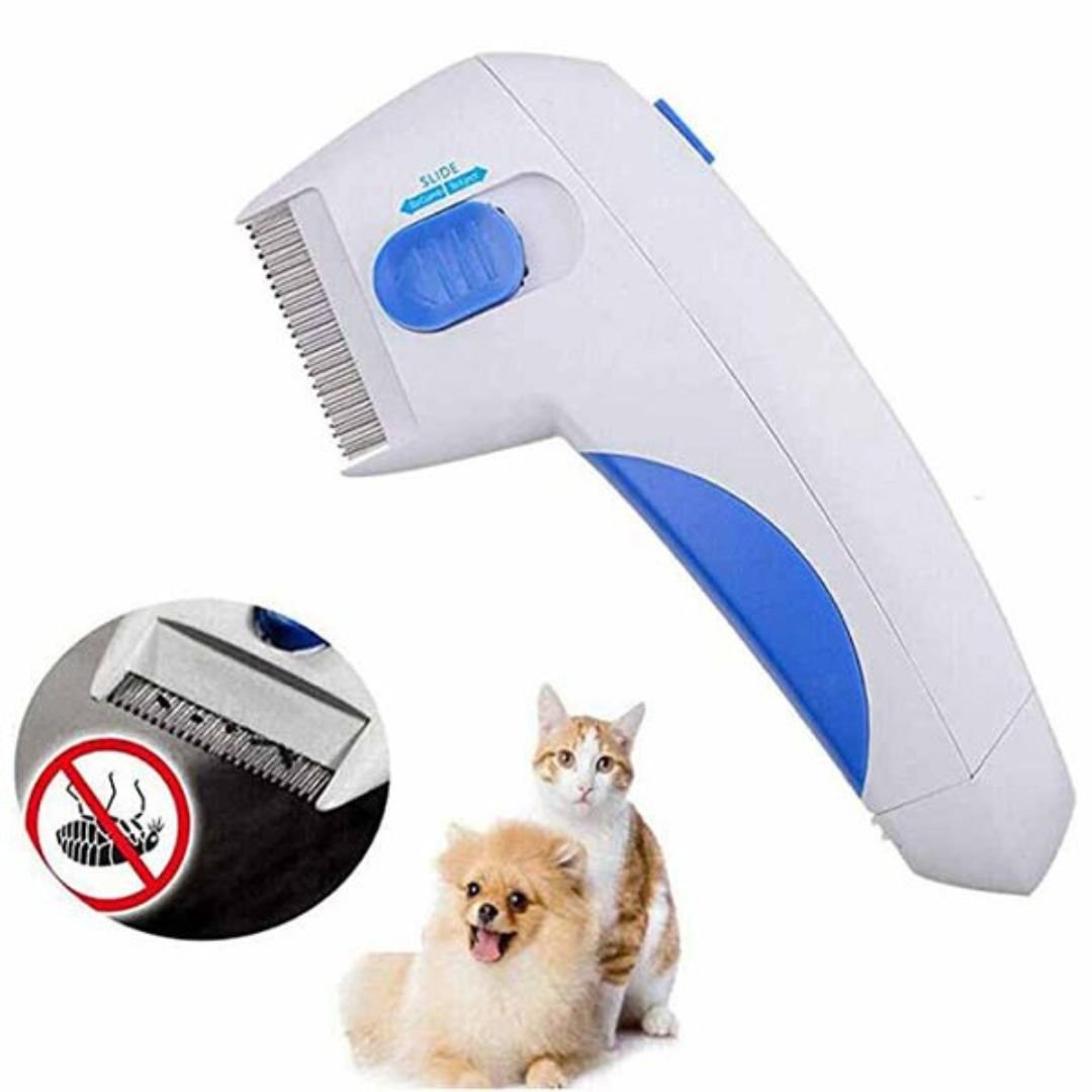 Flea Doctor