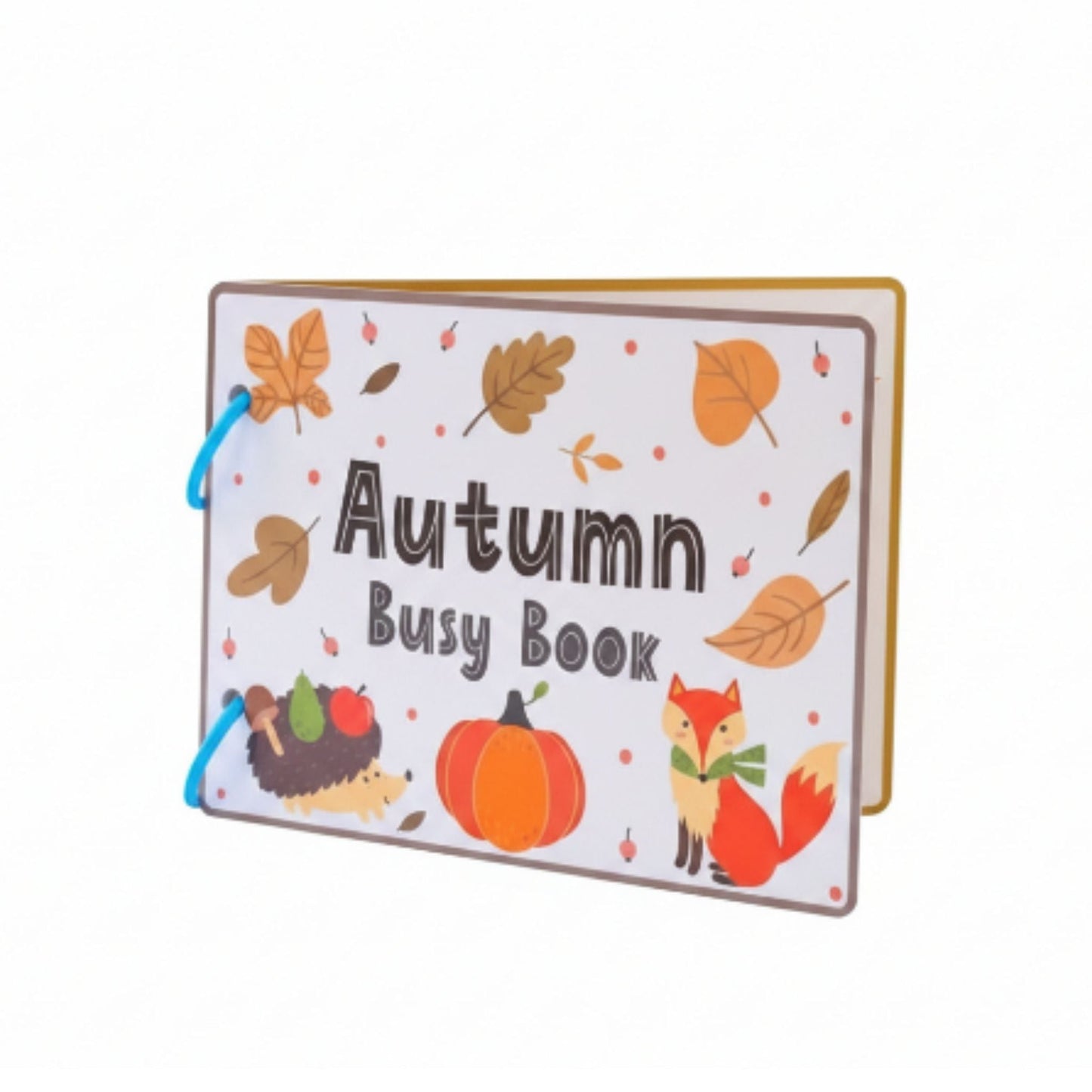 Kids Sensory Season Book