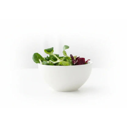 Melamine Bowl