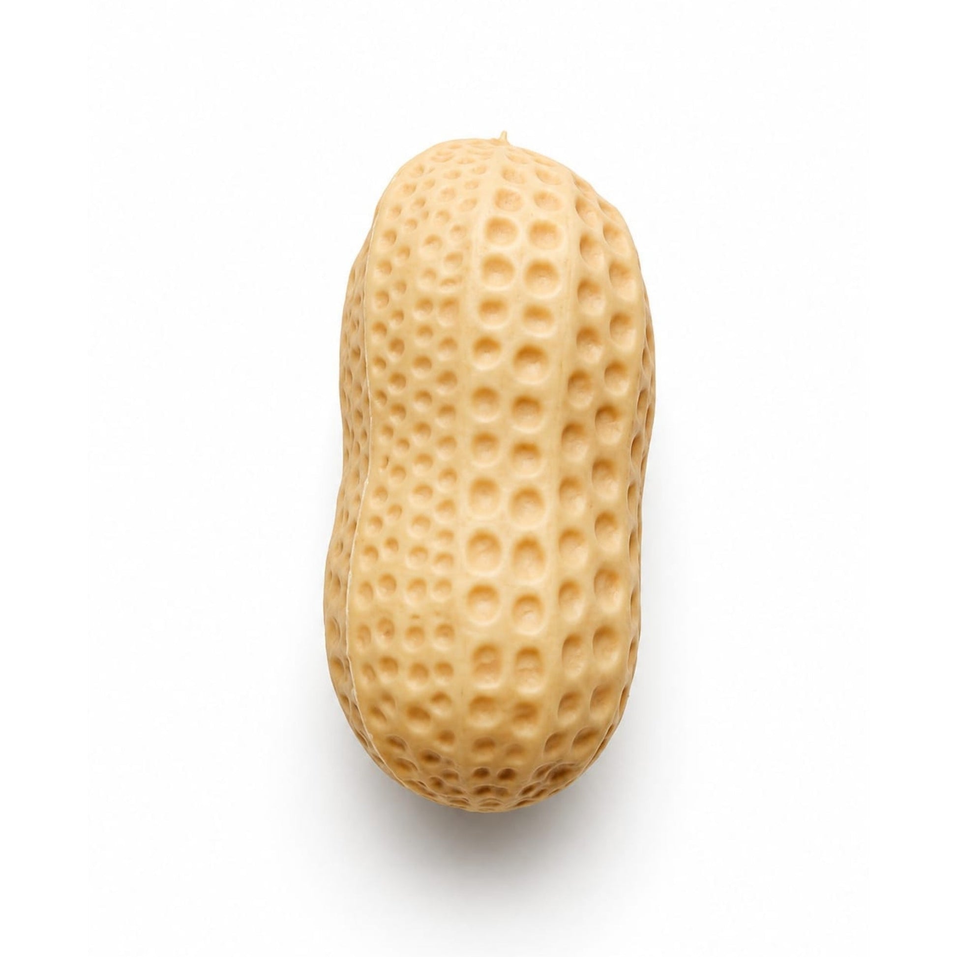 Peanut Squishy Toy – Soft Squeeze Sensory Toy