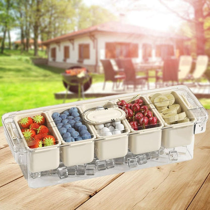 5 Division Serving Tray With Ice Compartment