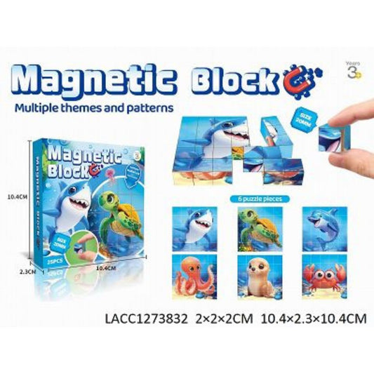Magnetic Puzzle Blocks 25pc