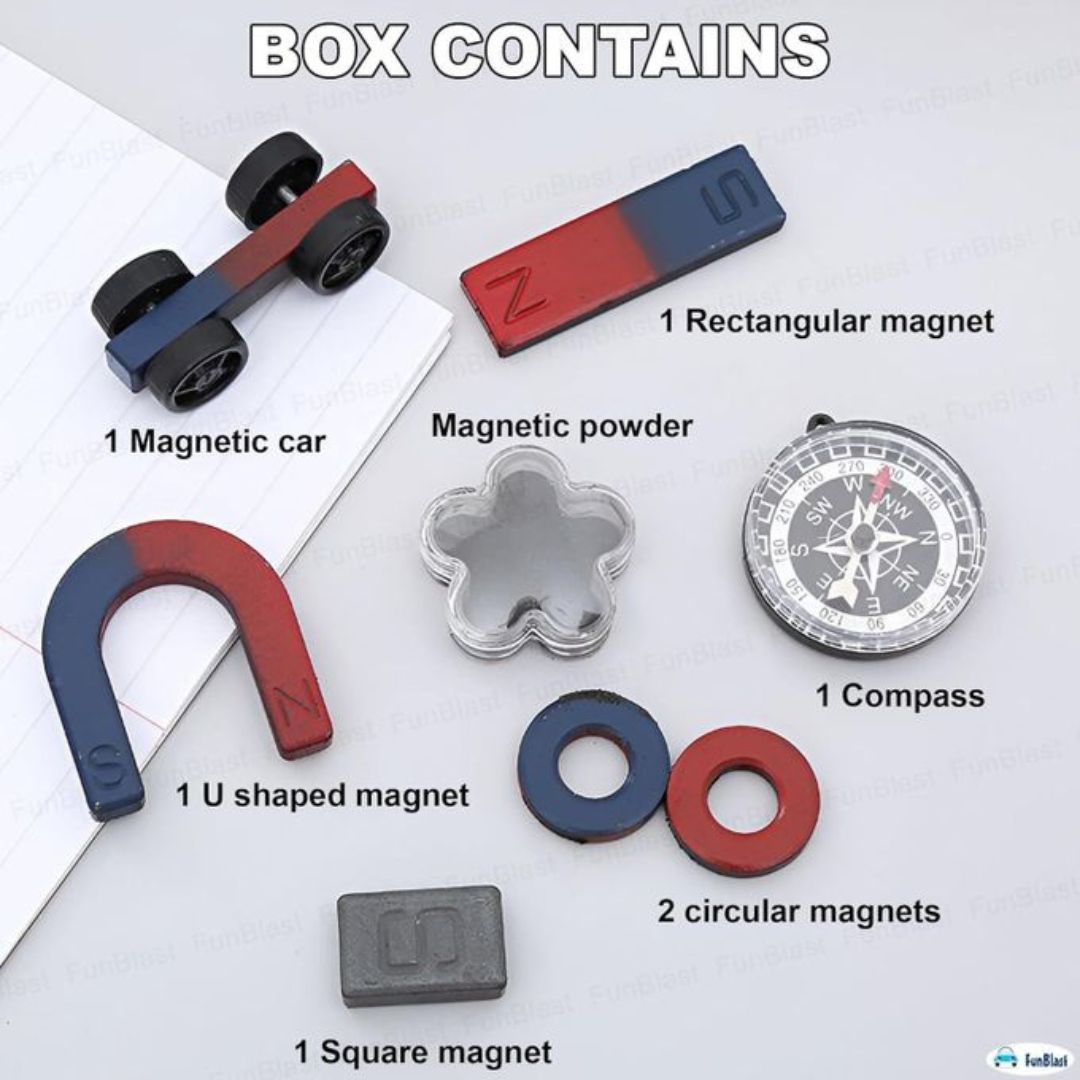 Magnetic Science Kit- Large