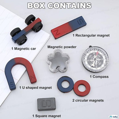 Magnetic Science Kit- Large