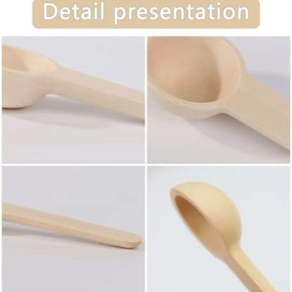 6pc Wooden Mini Spoons