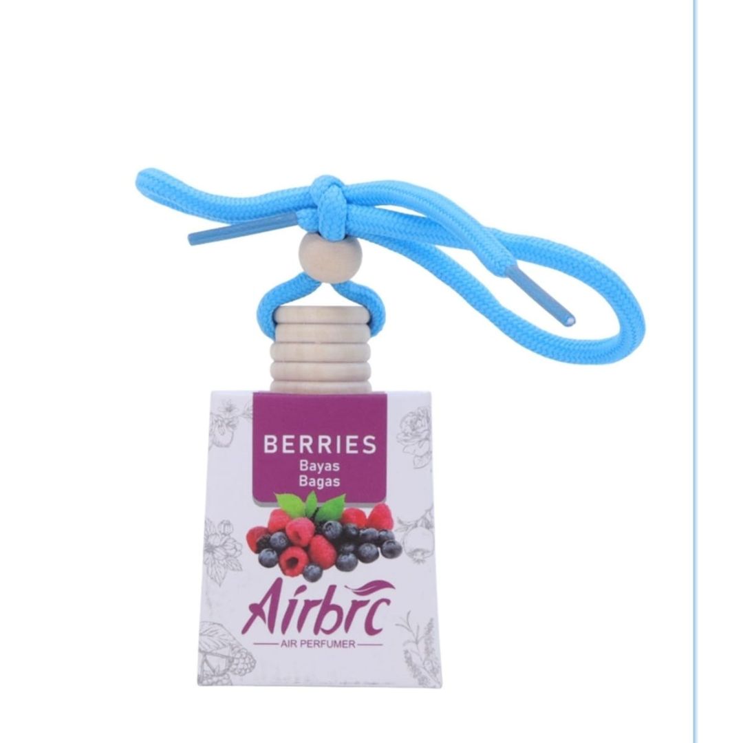 Vehicle Air Freshner