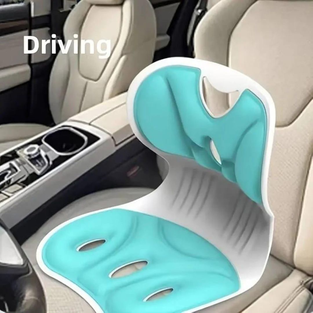 Posture Correct Back Support