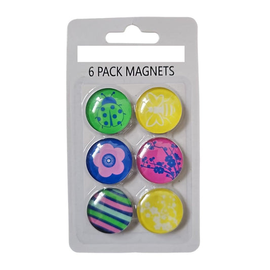 6pc Magnets