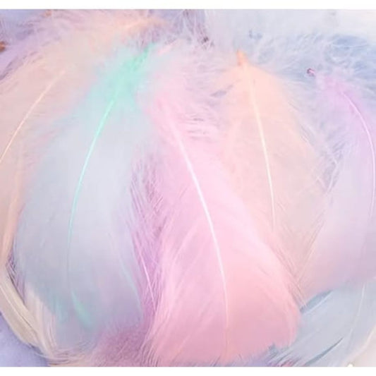 DIY Craft Feathers