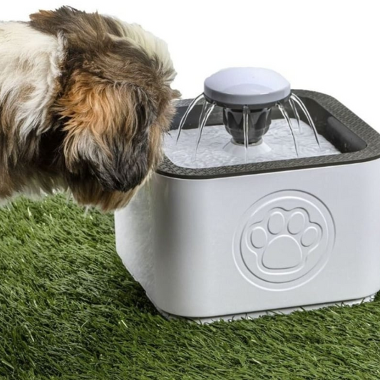 Pet Water Fountain